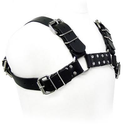 Black Bull DOG Harness