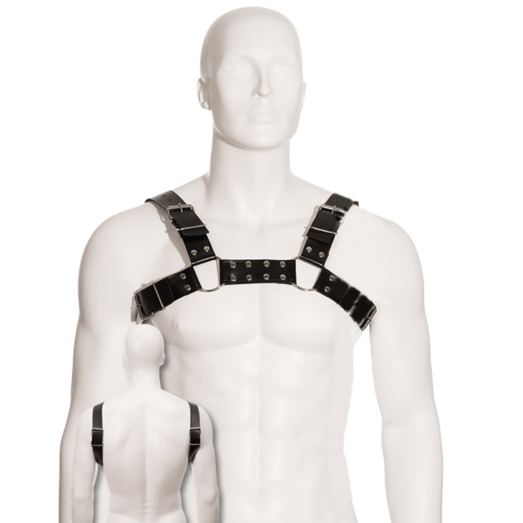Black Bull DOG Harness