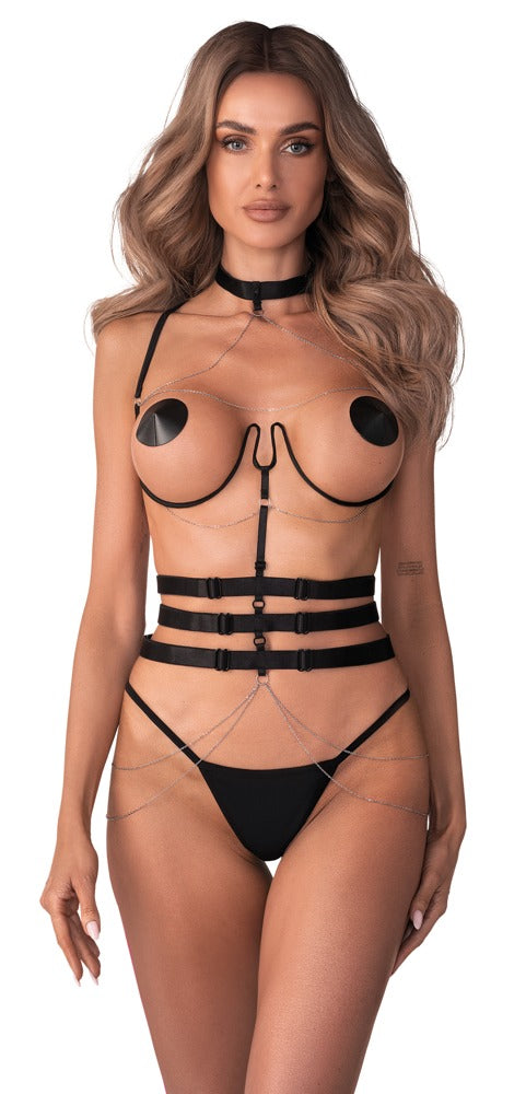 Harness Premisis